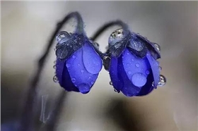 www.nvesan.cn