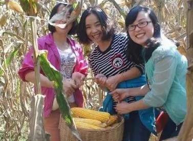 2.掰玉米人員25名，要求至少1年工作經(jīng)驗，手腕有勁手指靈活，拉呱時候能不耽誤干活，皮糙肉厚者優(yōu)先：