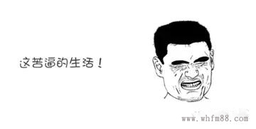 www.nvesan.cn