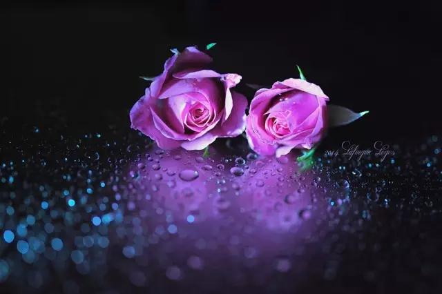 www.nvesan.cn