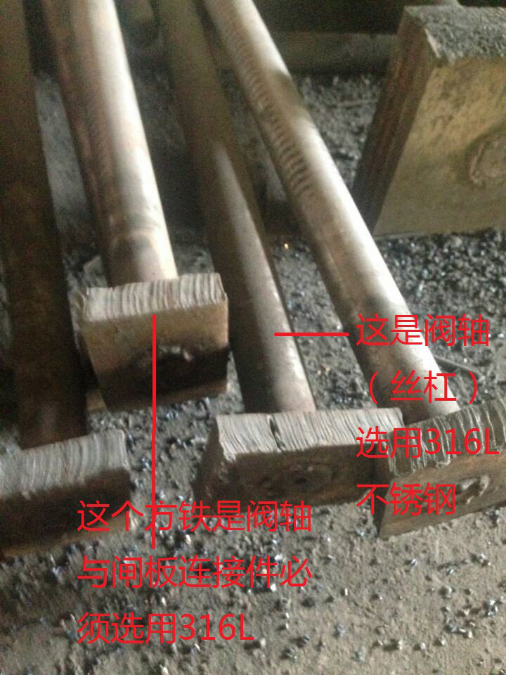www.nvesan.cn